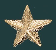 Star Metal Chenille Letter Insignia Pin 2