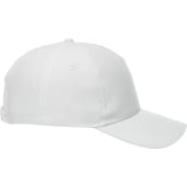 Unisex DOMINATE Ballcap 401