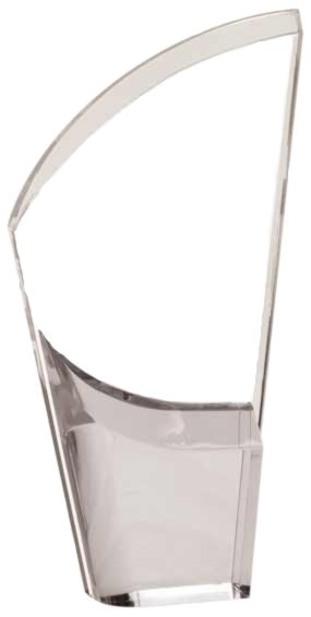 9 1/2" Mirror Lunar Acrylic Award 2