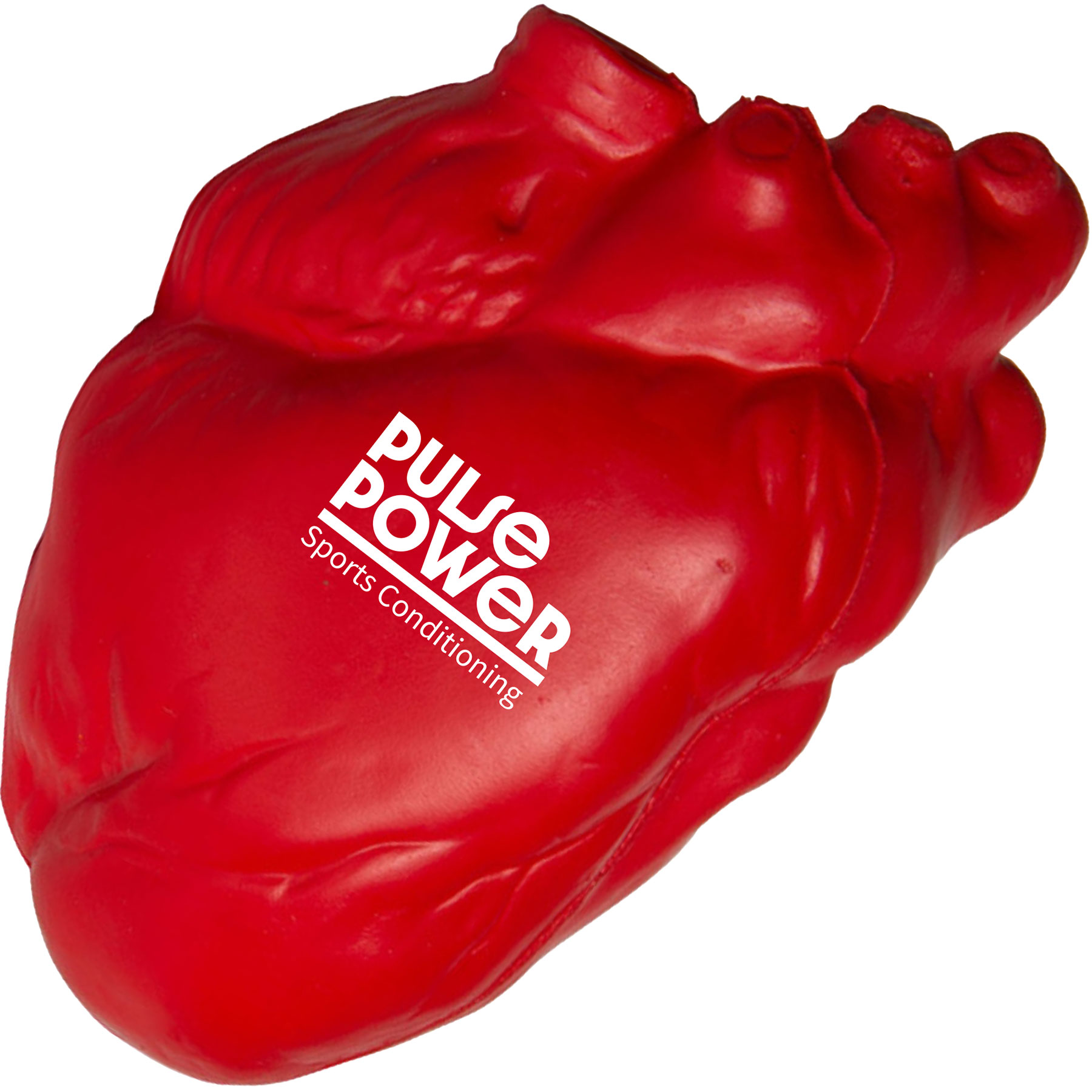 Anatomical Heart Stress Reliever 1