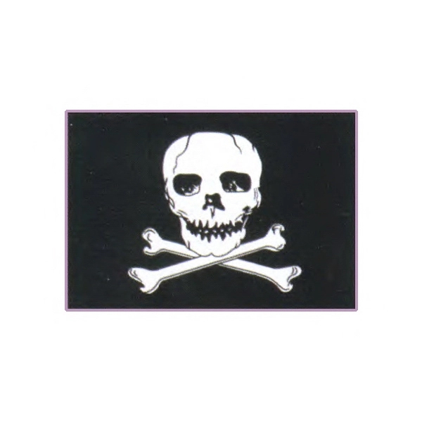 Jolly Roger Flag 2