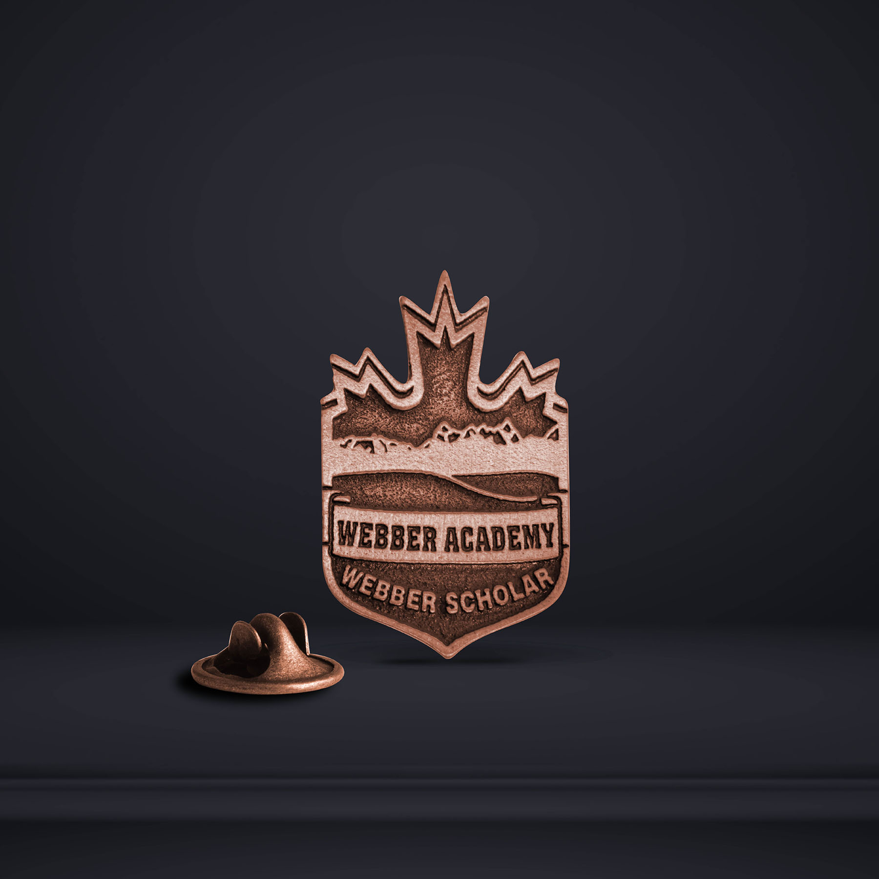 Custom Econo Lapel Pin (Up to 1.25 in) 2