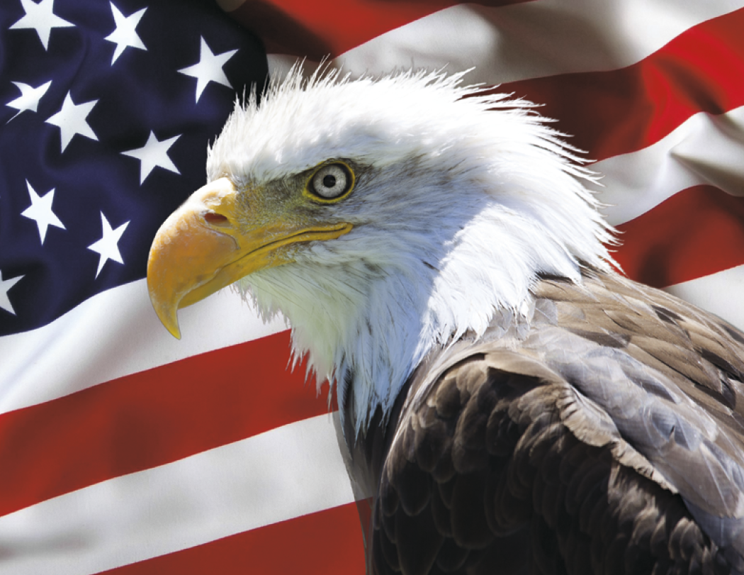 HotLine® Products America Appointment Calendar - Spiral 28