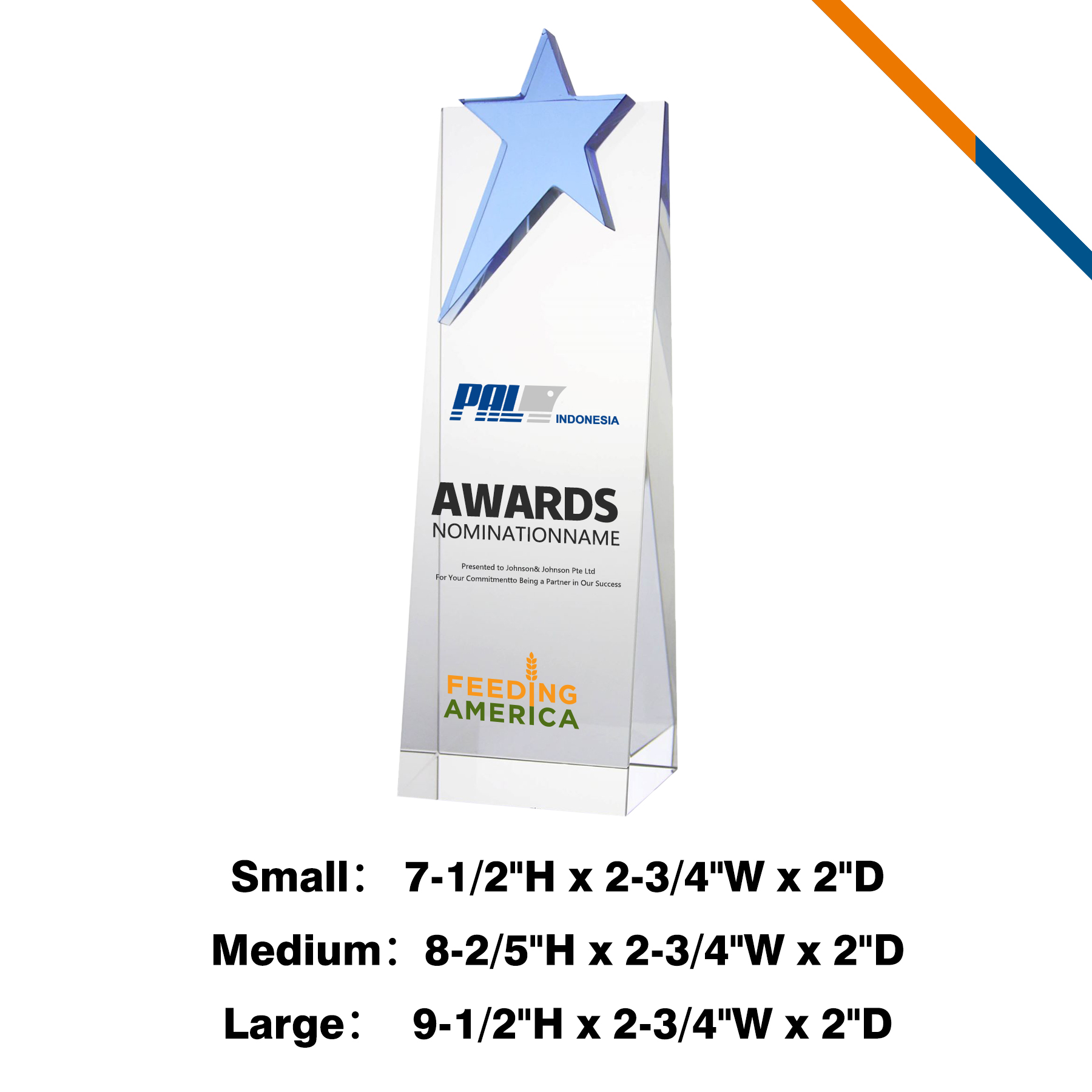 Ranoo Blue Star Trophy 4