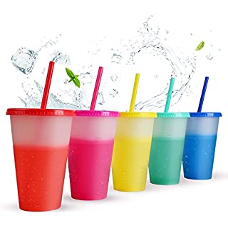 16 OZ Transparent G PP Sensitive Dandruff Tumbler/Lid and Straw Cup 7
