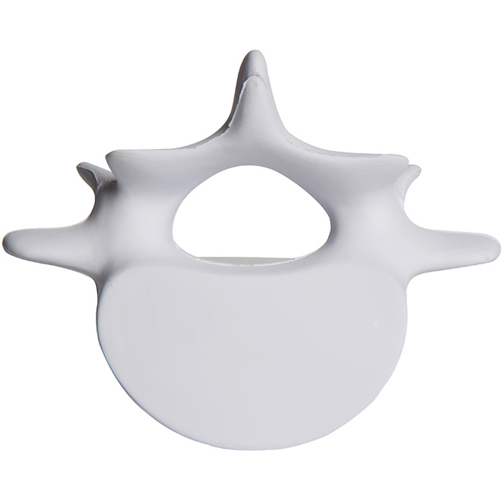 Vertebrae Stress Reliever 3