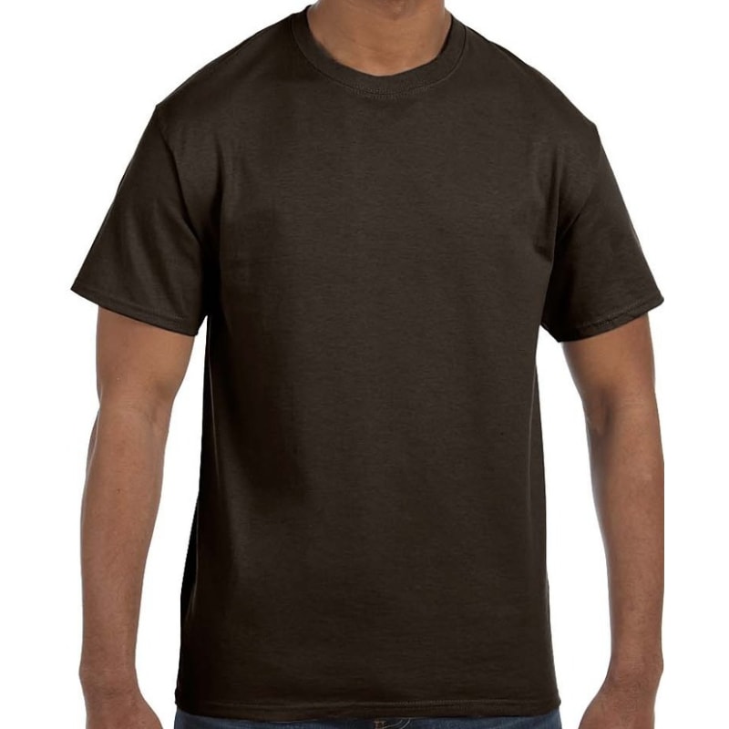 Hanes Men's Authentic-T T-Shirt 74