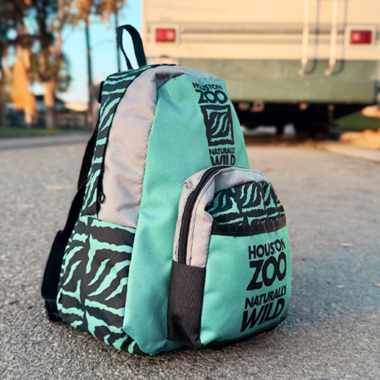 Medium ColorBurst BackPack 4