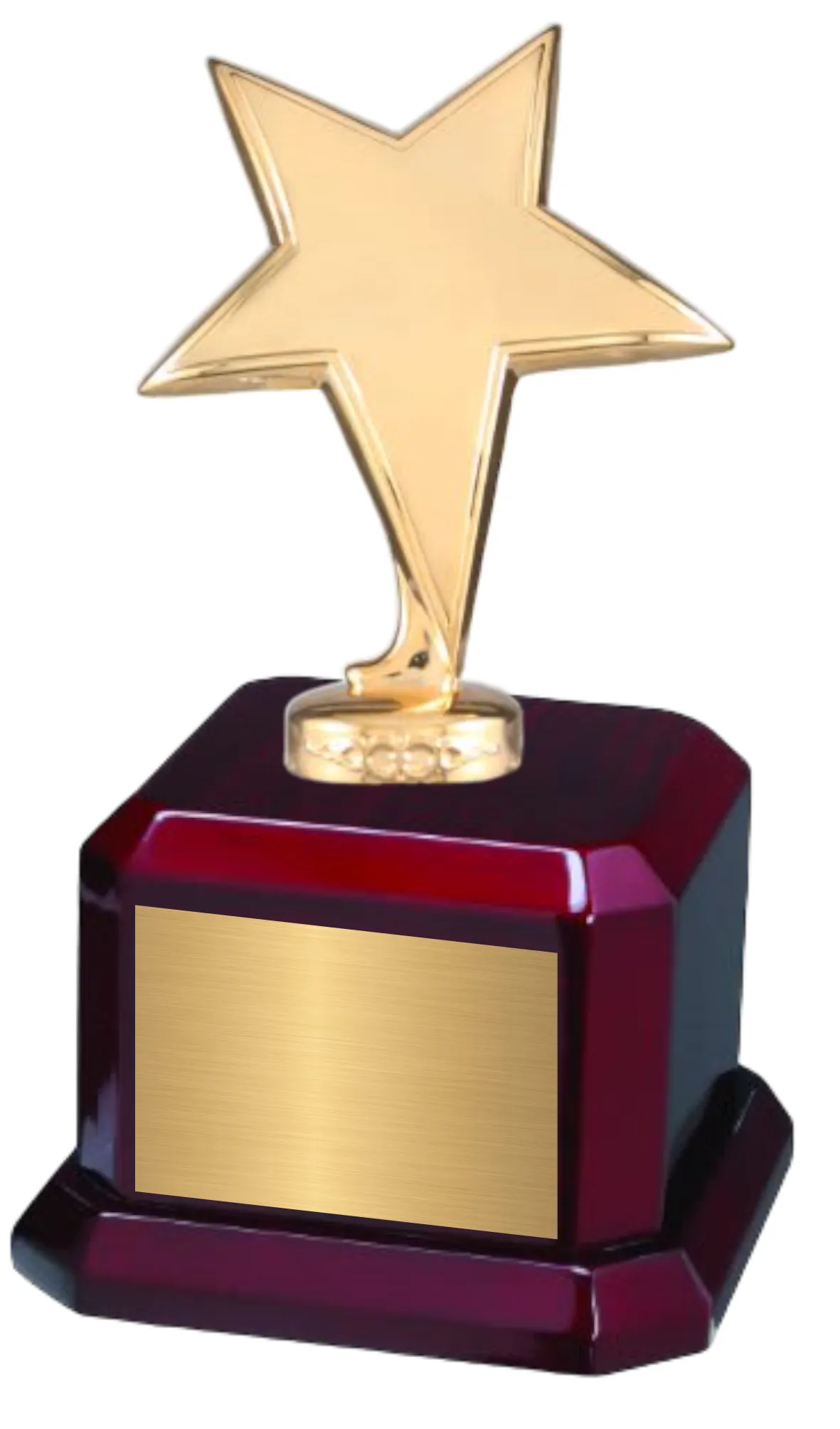 9 1/2" Star Trophy Award on Rosewood Royal Piano Finish Base 18