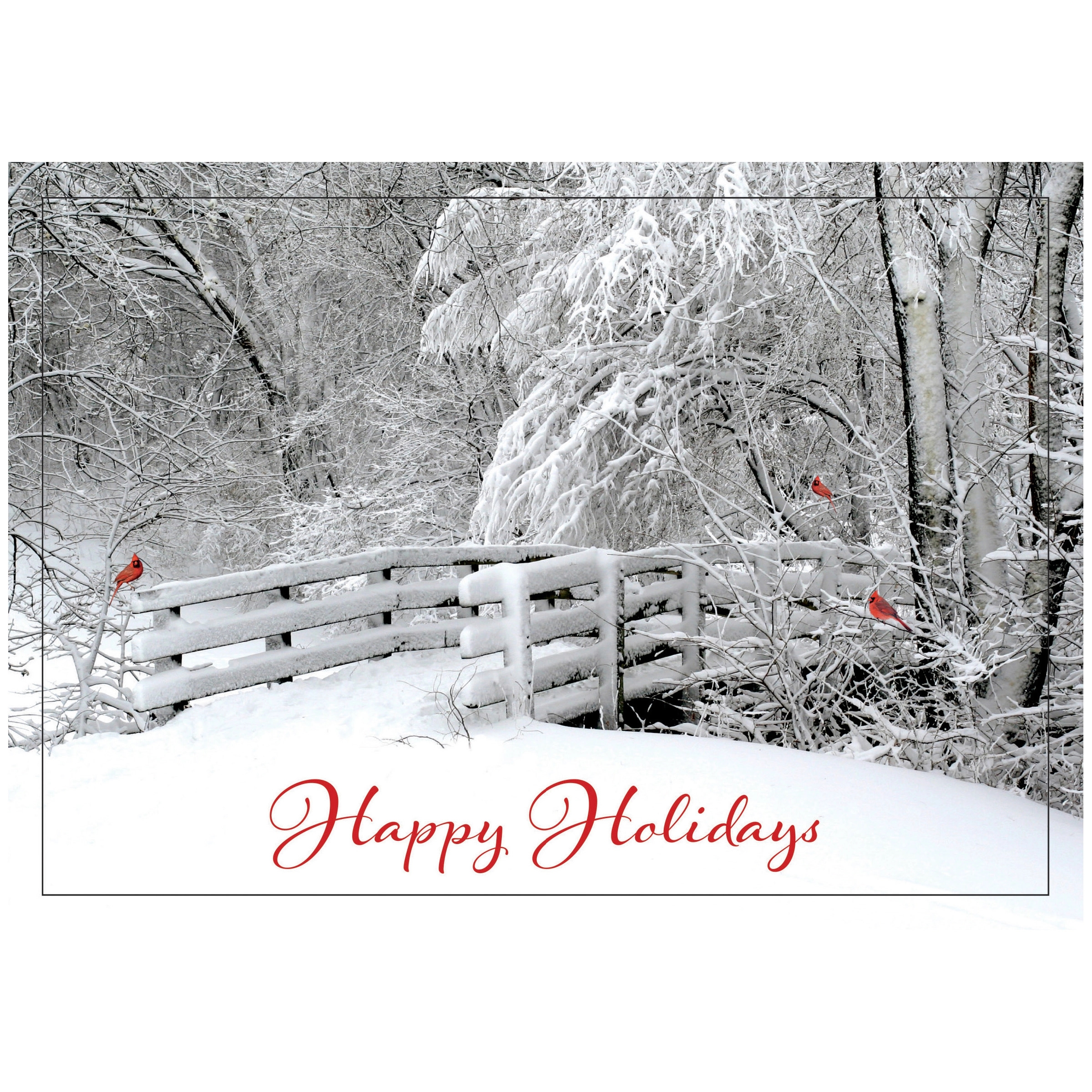 Fresh Air Holiday Cards 2