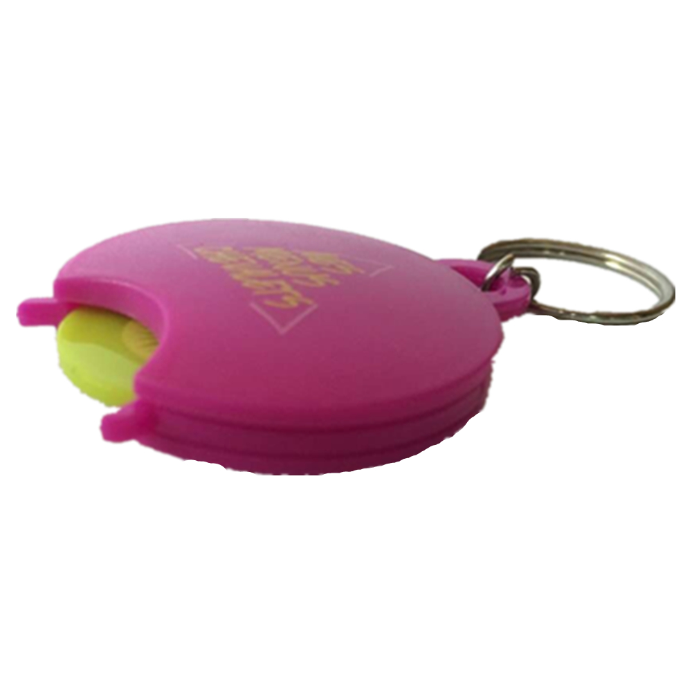 Rounder Shape Coin Holder Key Chain 3
