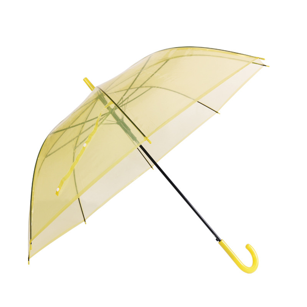 Small Fresh Transparent Umbrella 6
