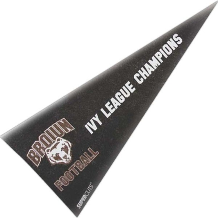 Felt Pennant - 8"x18" 2