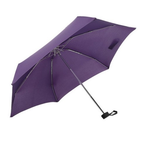 Folding Travel Umbrella With Eva Case 4