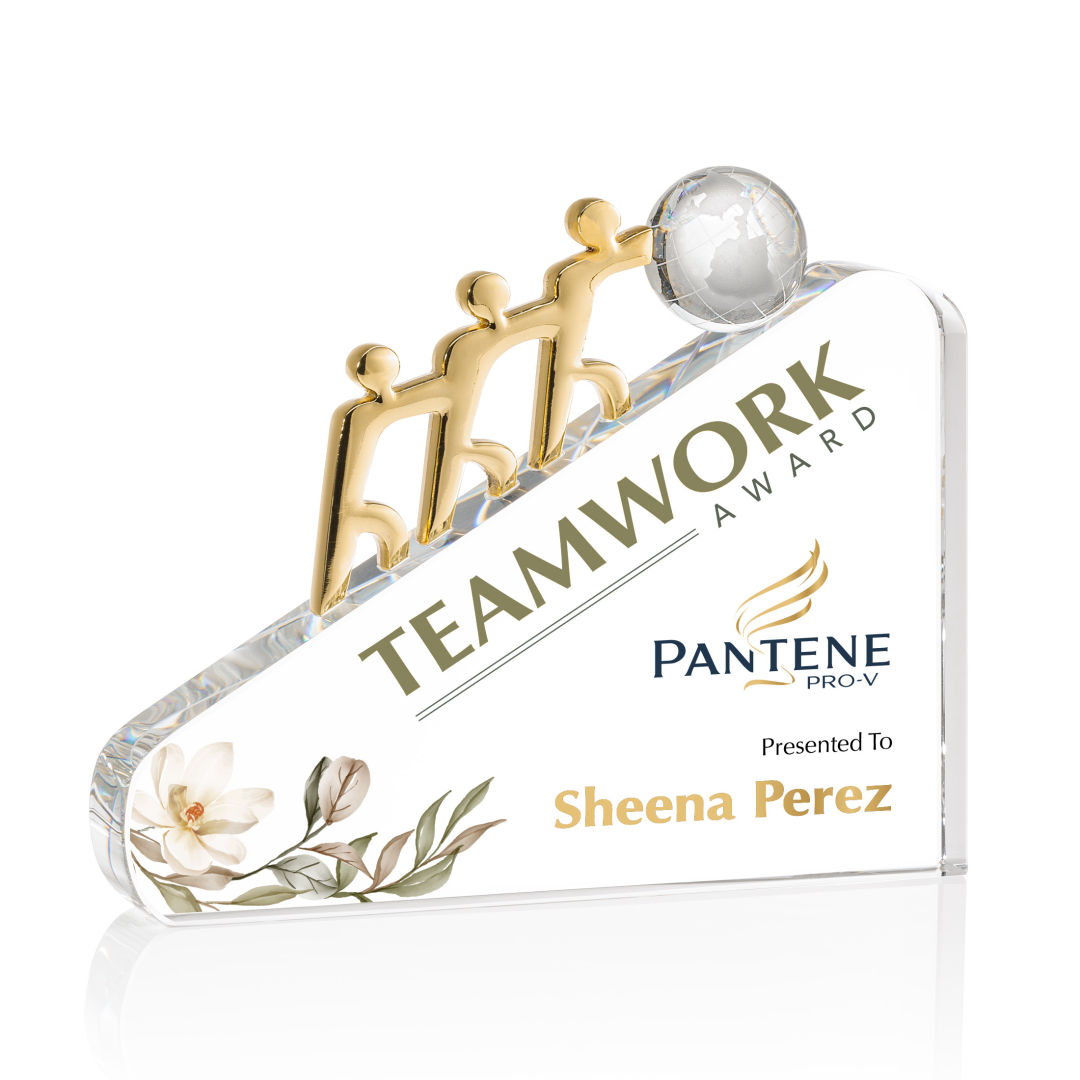 Synergy VividPrint™ Award 6