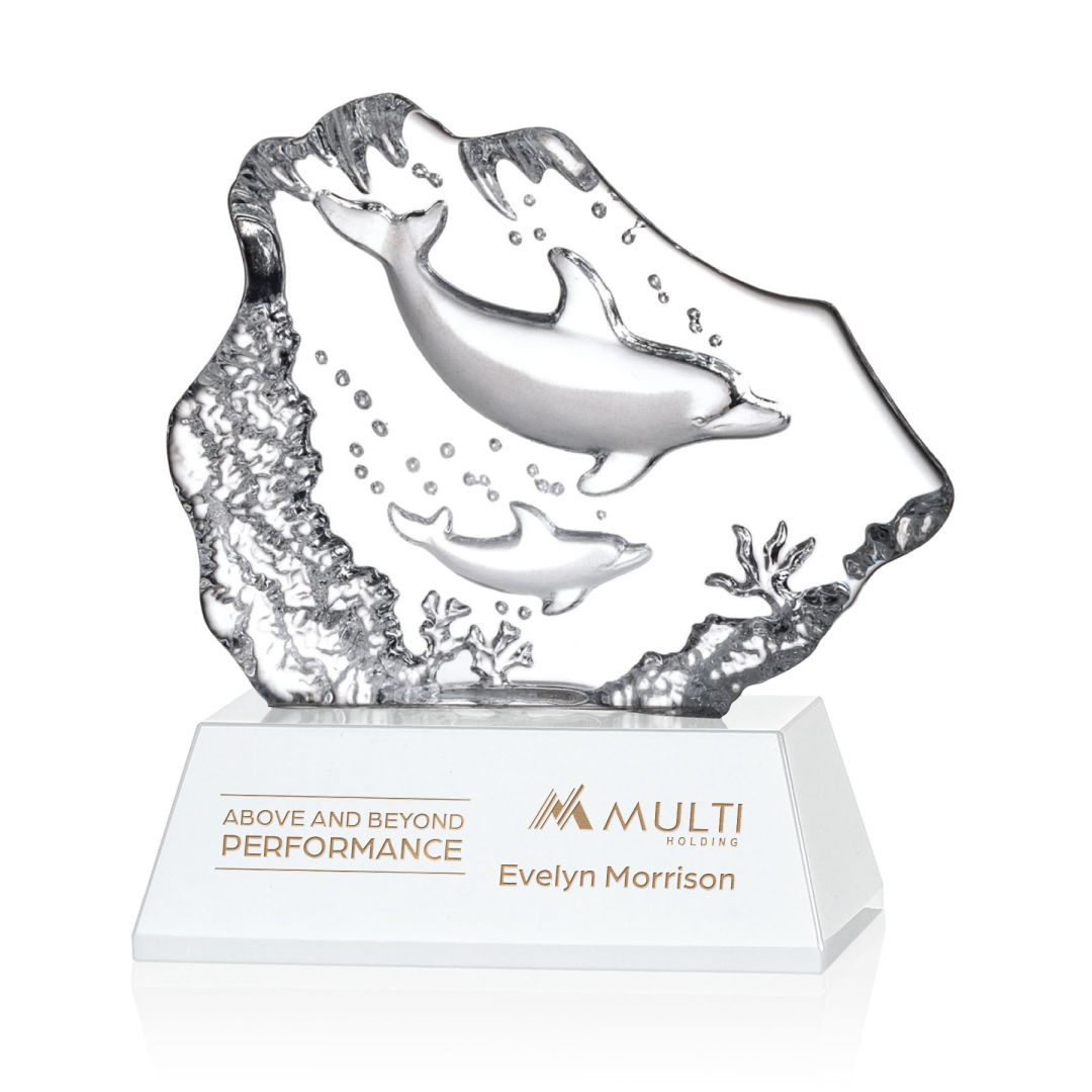 Ottavia 2 Dolphins Award 3