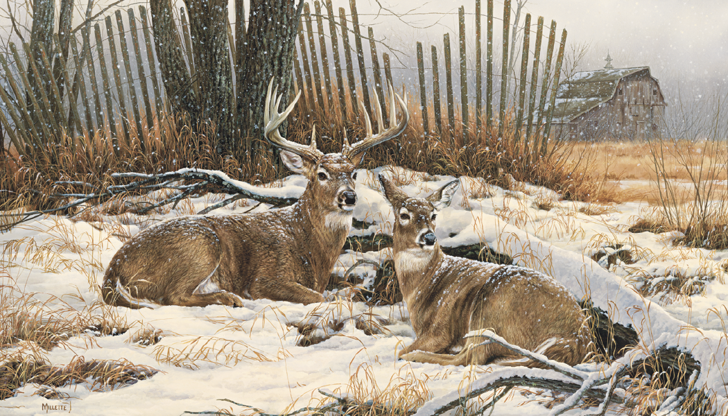 Triumph® Calendars Wildlife Art Calendar 26