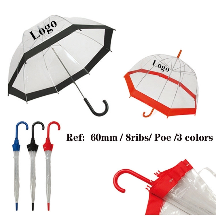 Clear and Transparent Umbrella 4