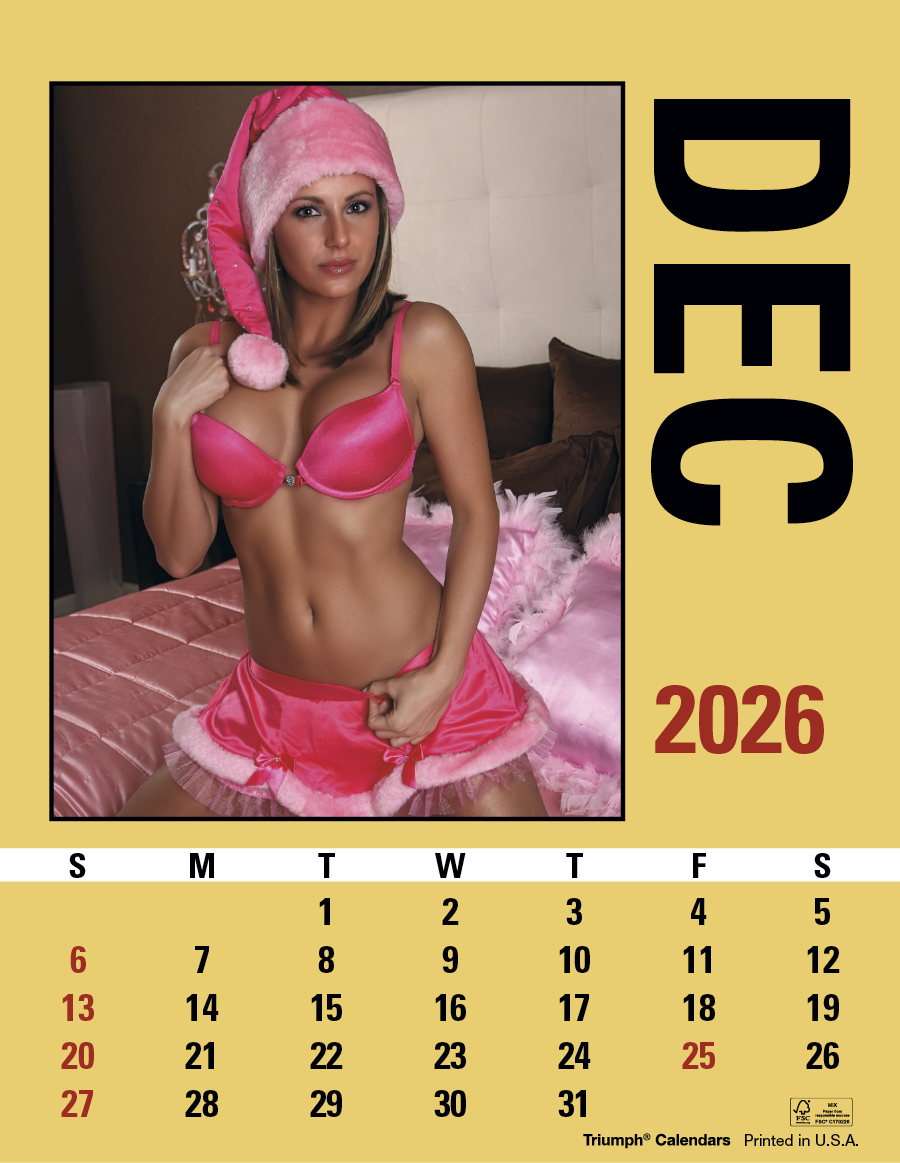 Triumph® Calendars Press-N-Stick Maiden America Calendar 28