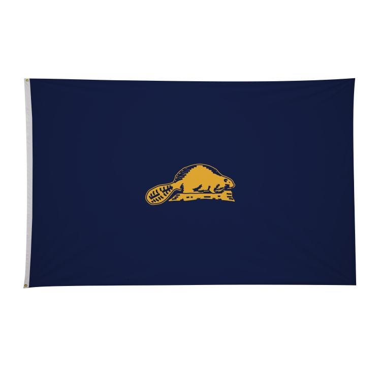 5' x 8' State Flags 44