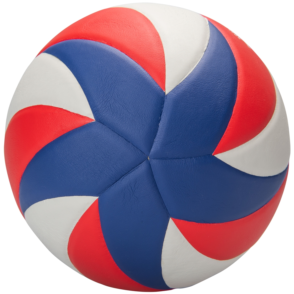 Wave Soft Touch Pro Performance Volleyball 6