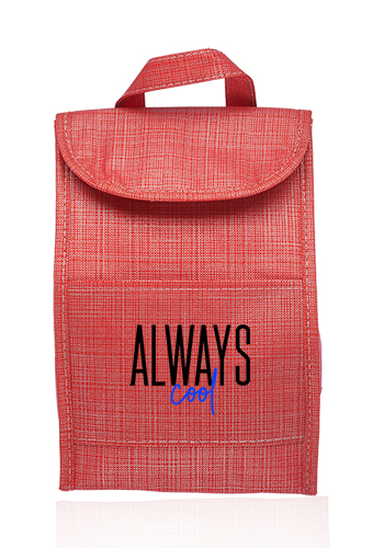 Shimmer Insulated Lunch Bags 1