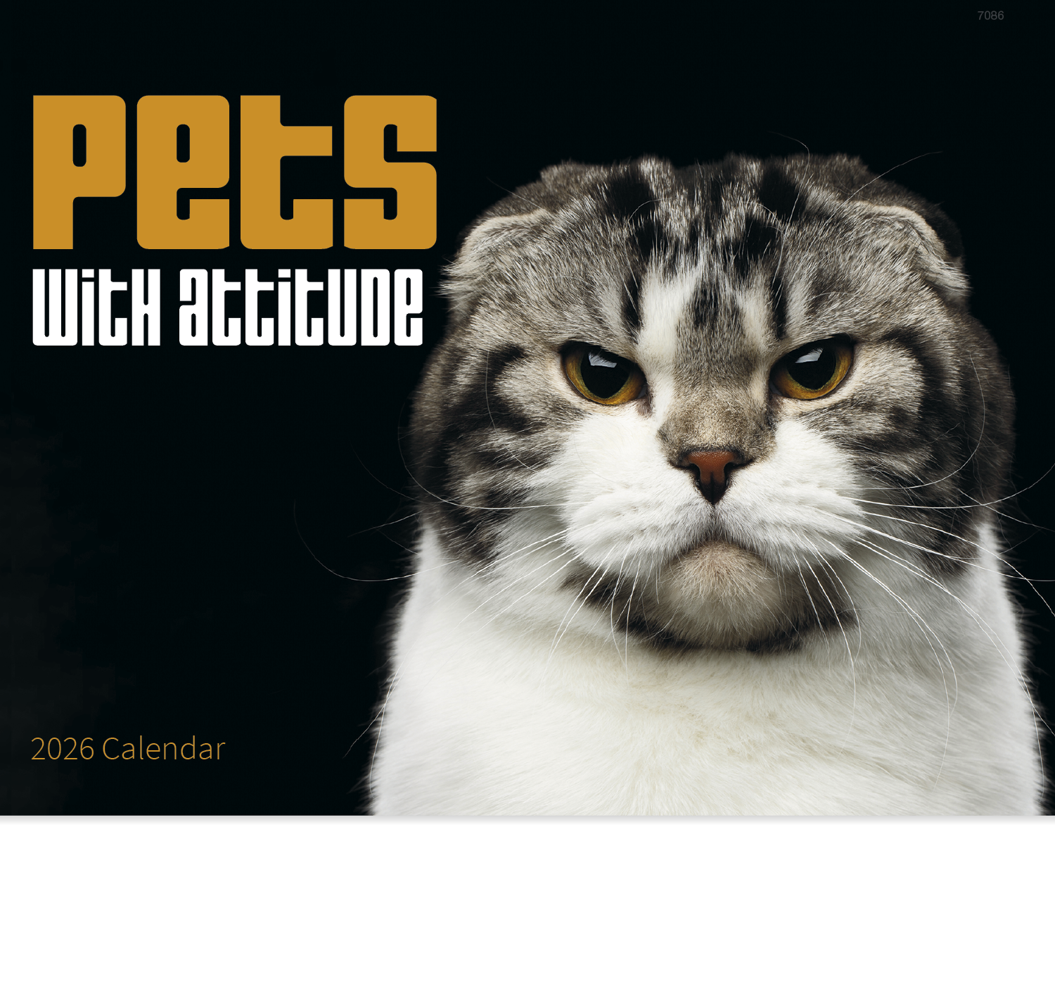 Good Value™ Pets with Attitude - Stapled Calendar 13