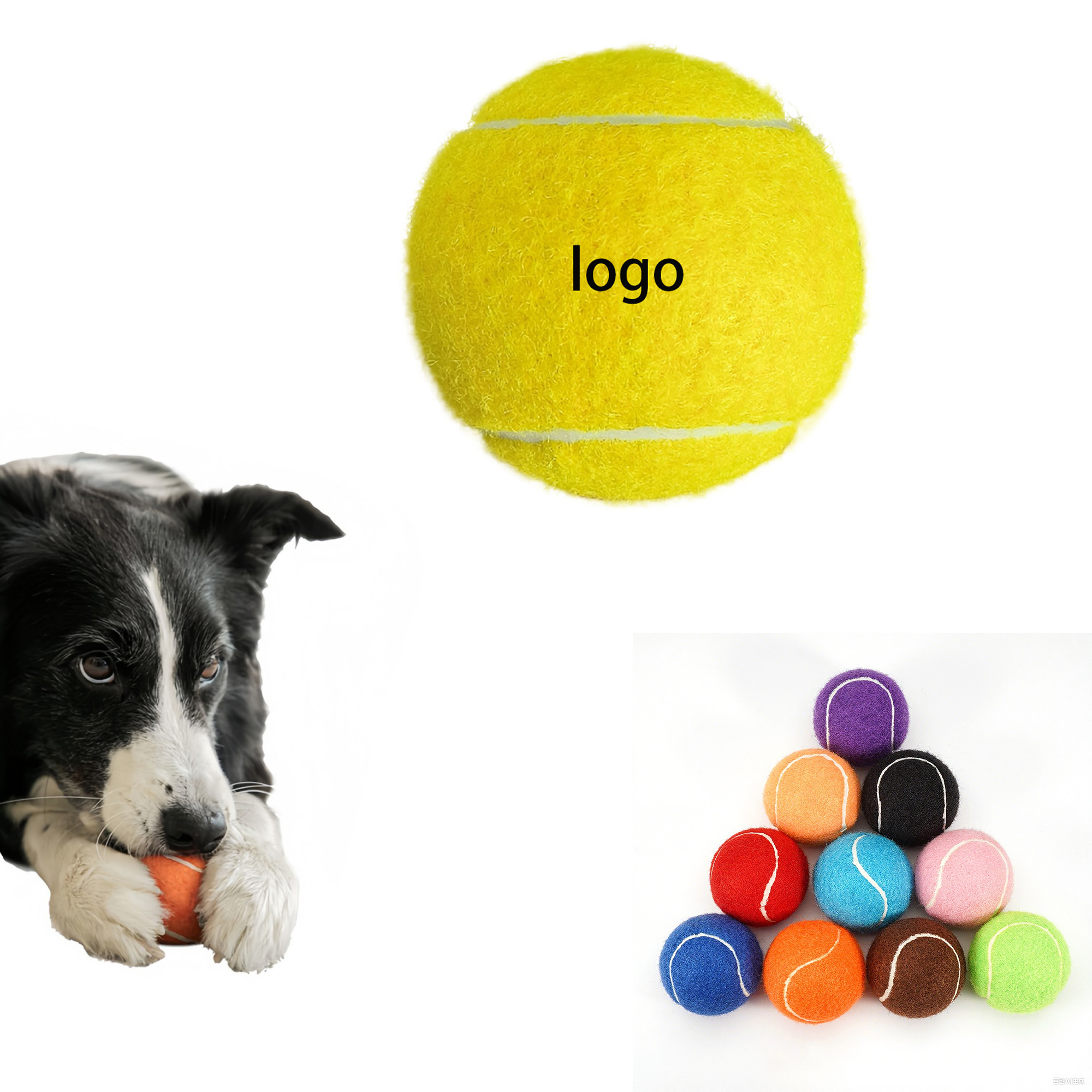 Outdoor Dog Training Toy 3