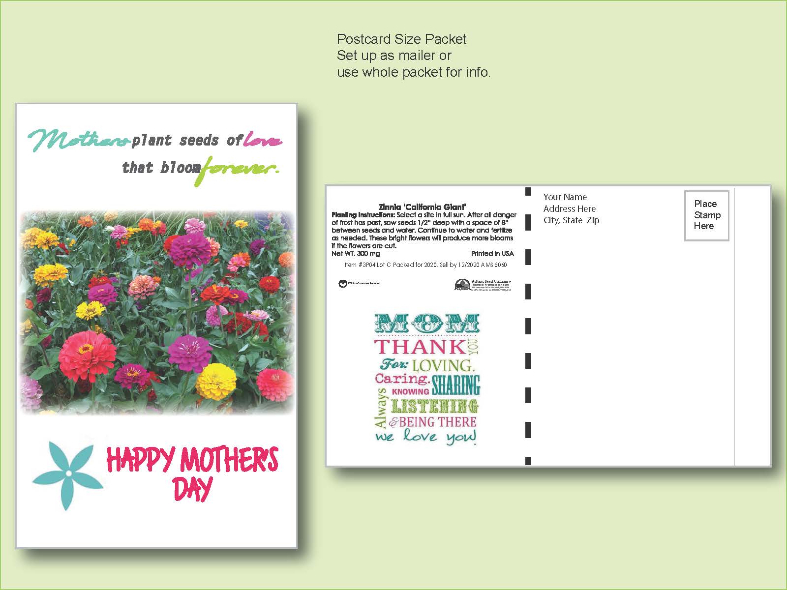 Zinnia California Giant - Flower Seed Packet - Postcard Mailer Size 4" x 6.5" 2