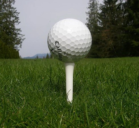 Golf Tees 1