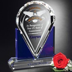 Distinction Award 7