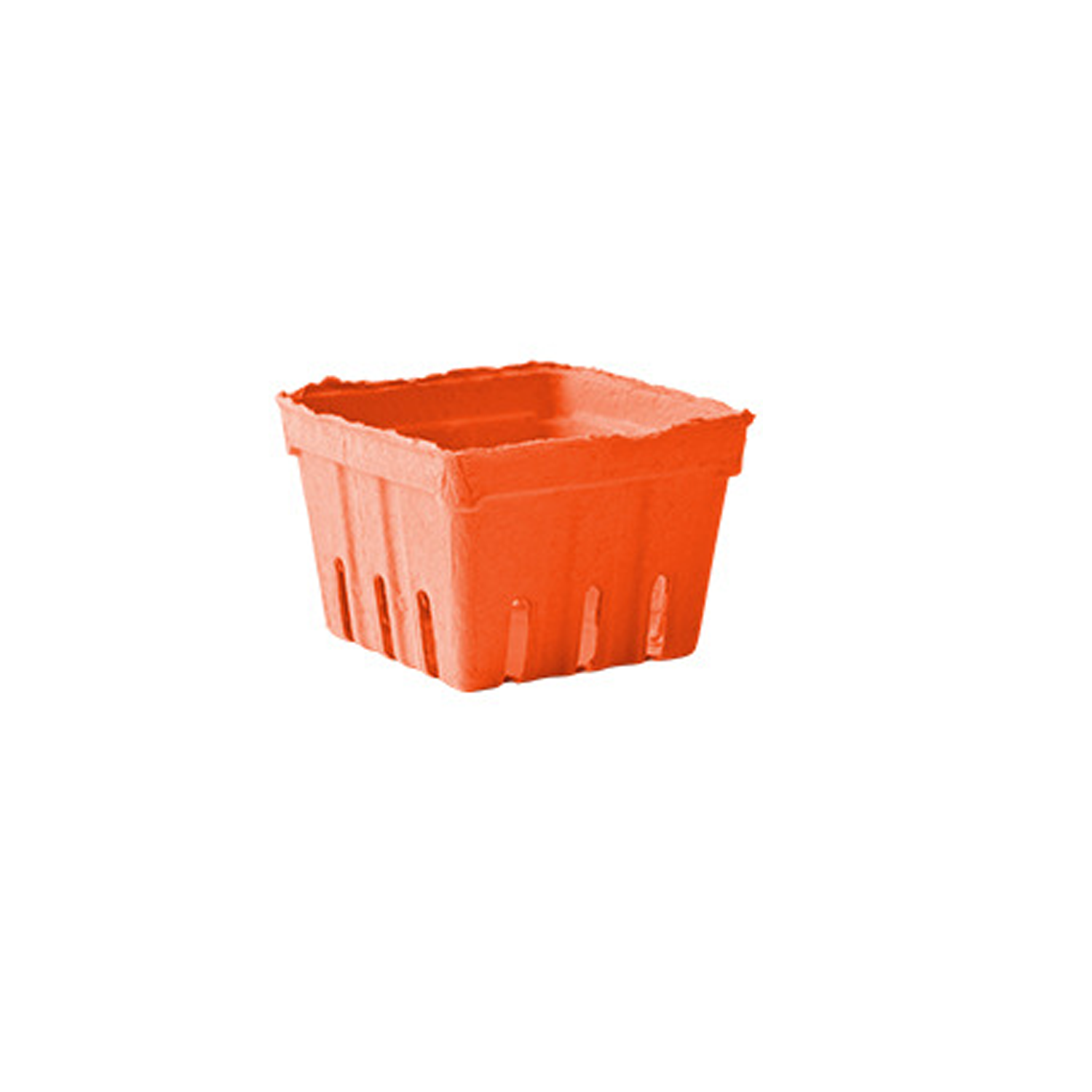 Bio-Degradable Fruit Basket 5