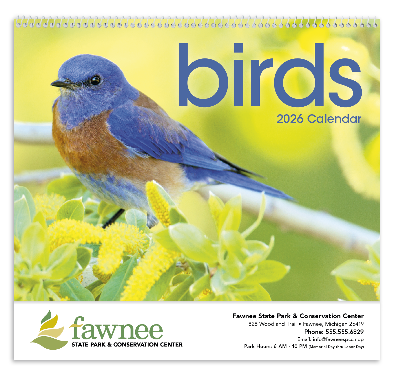 Triumph® Calendars Birds Calendar 61