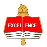 Excellence Academic Pin 2