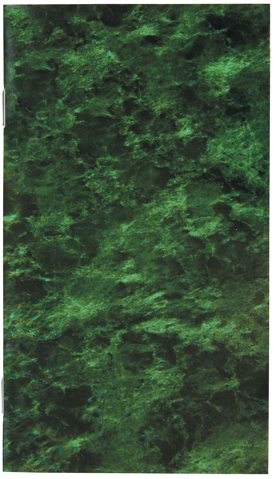 Cardstock Cover Solid Colors Monthly Pocket Planner 2