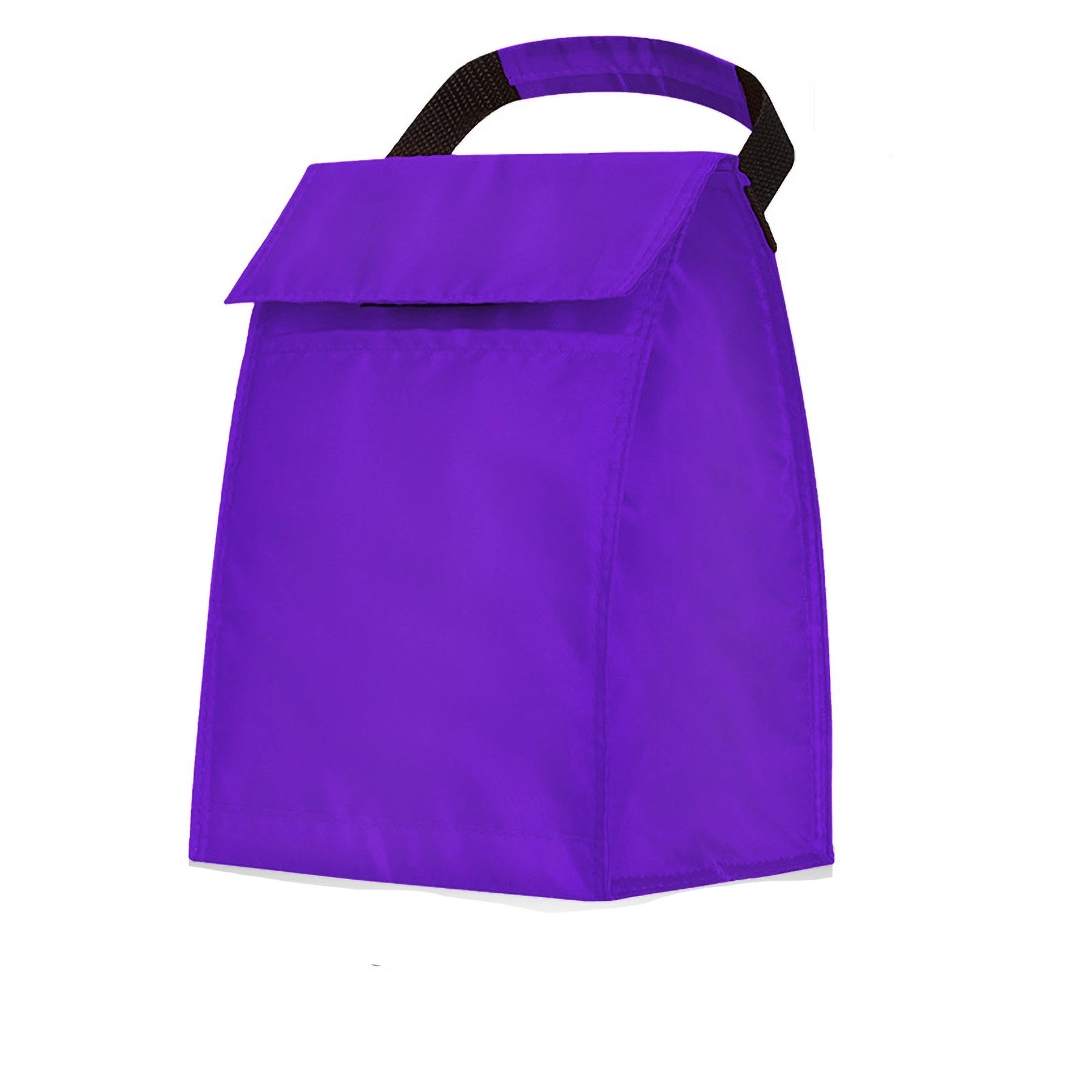 Insulated Lunch Tote Bag 5