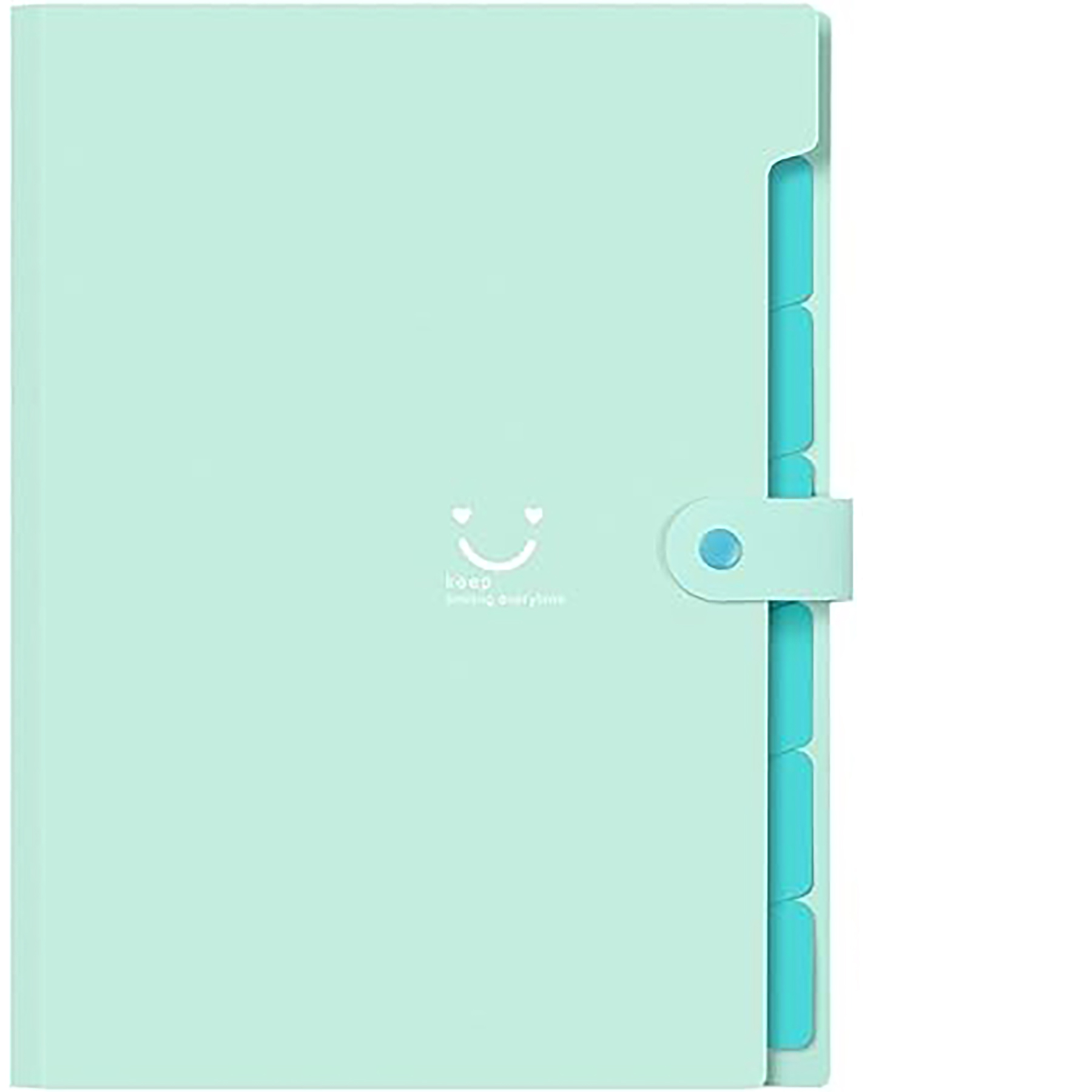 File Organizer with Labels 11