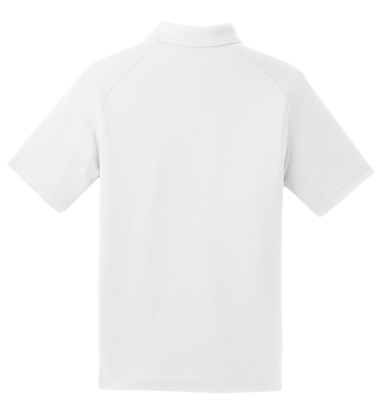 Sport-Tek Dry Zone Raglan Polo. T475 28