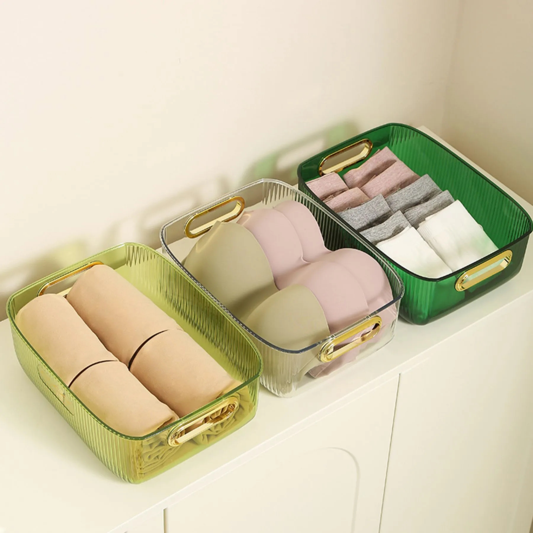 Portable Transparent Storage Bins 5