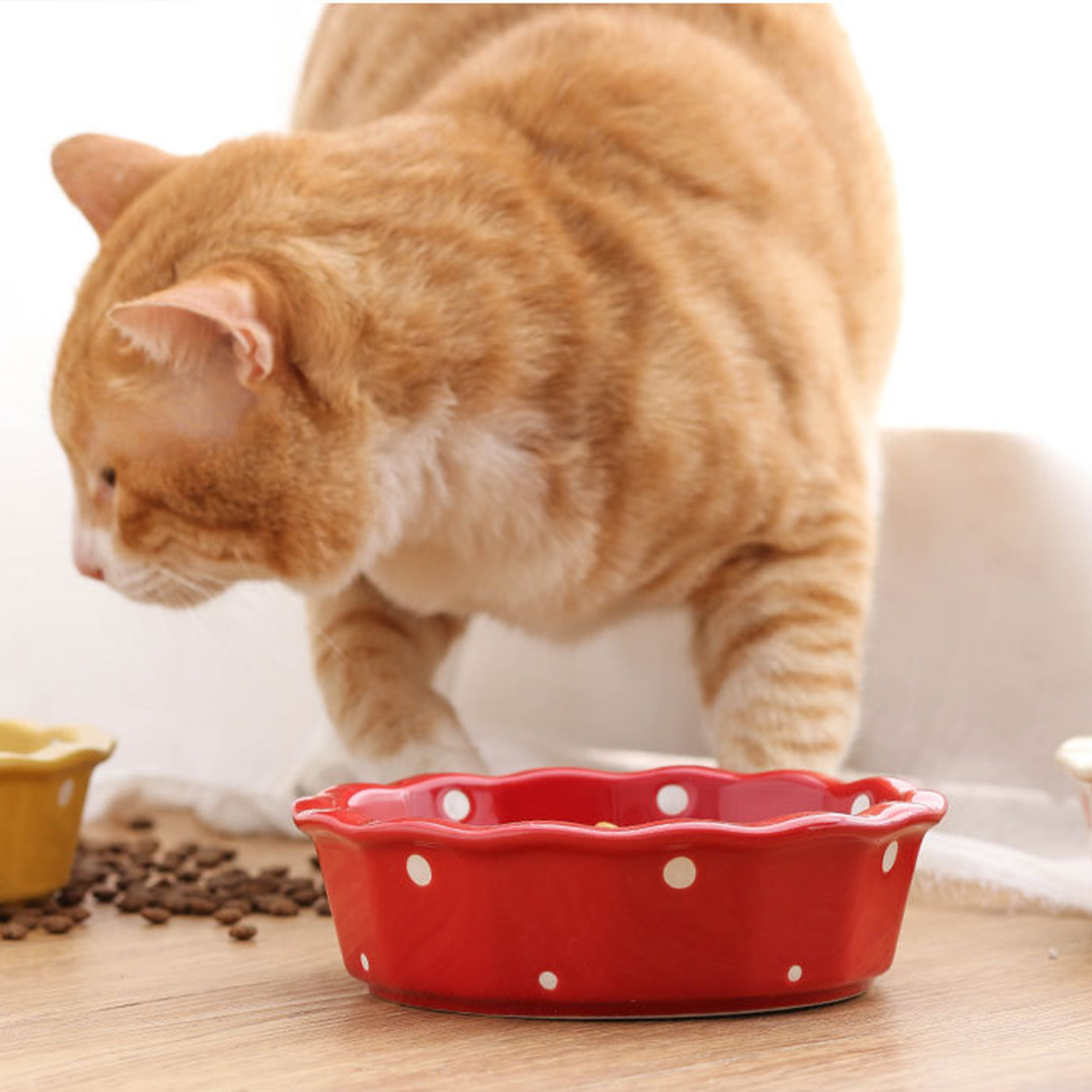 Ceramic Cat Bowl Rack And Cat Bowl 4