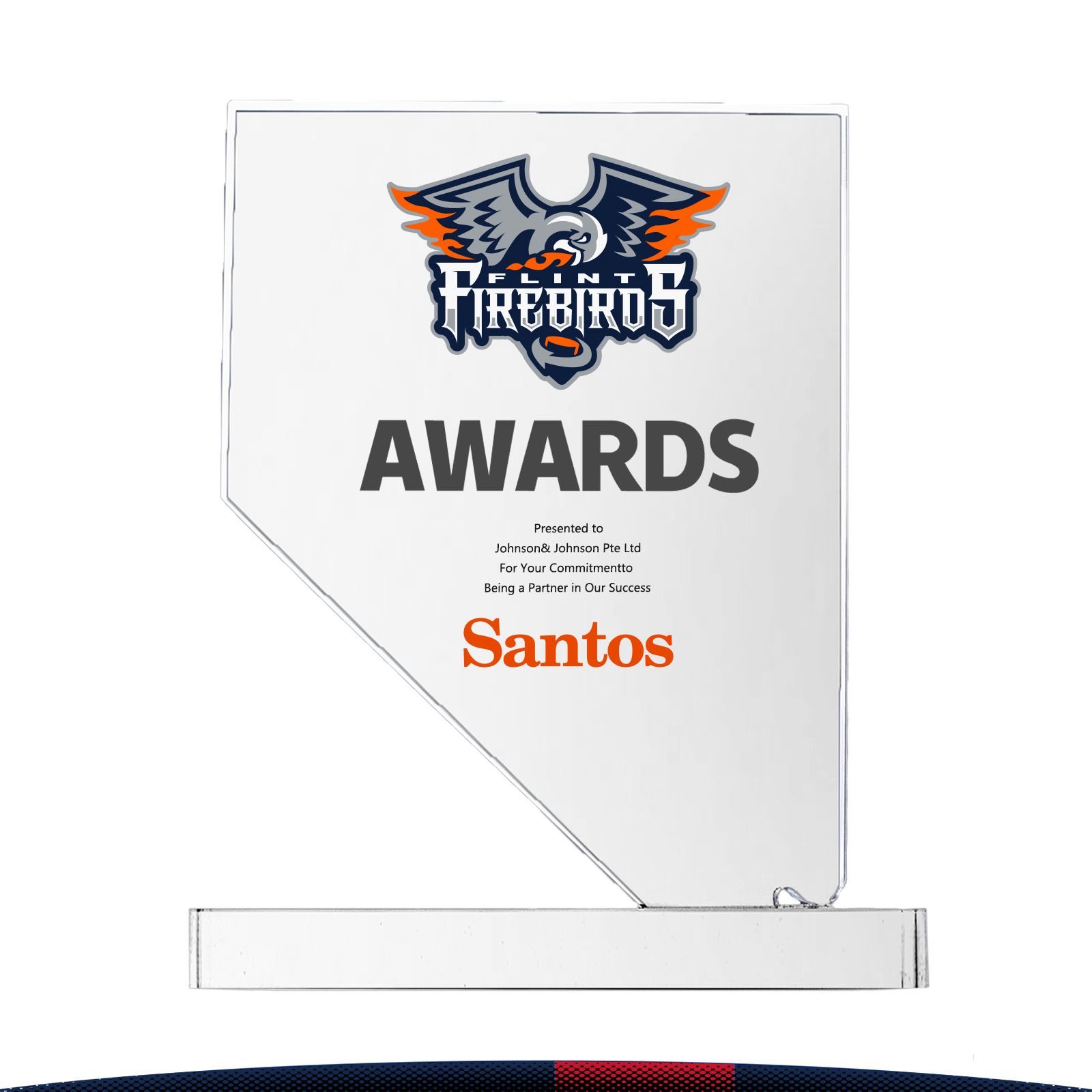 Craint Nevada Crystal Award 2