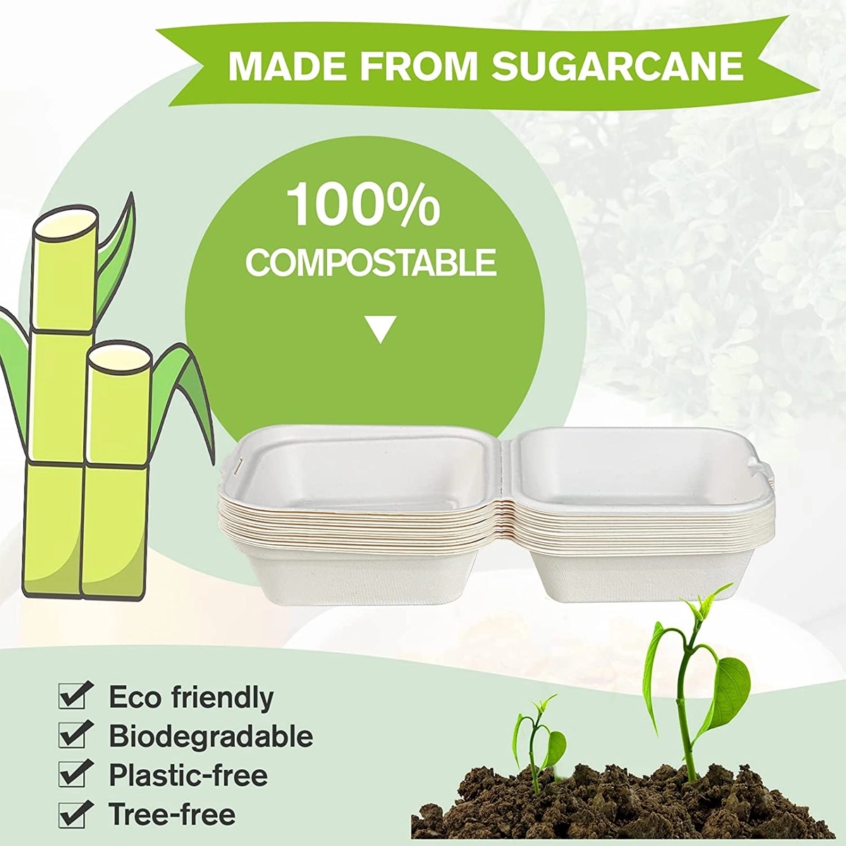 100% Compostable Biodegradable Take Out Container 2
