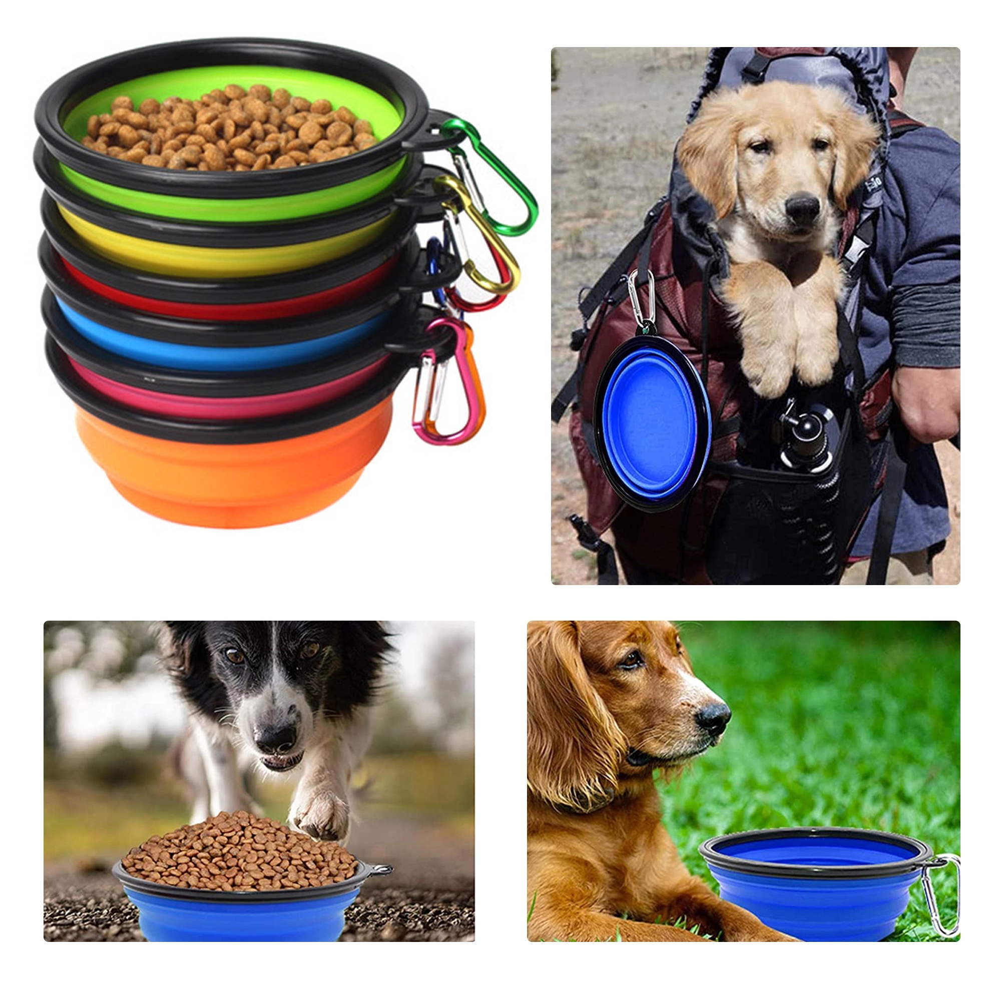 34oz Collapsible Pet Bowl with Carabiner Clip 2