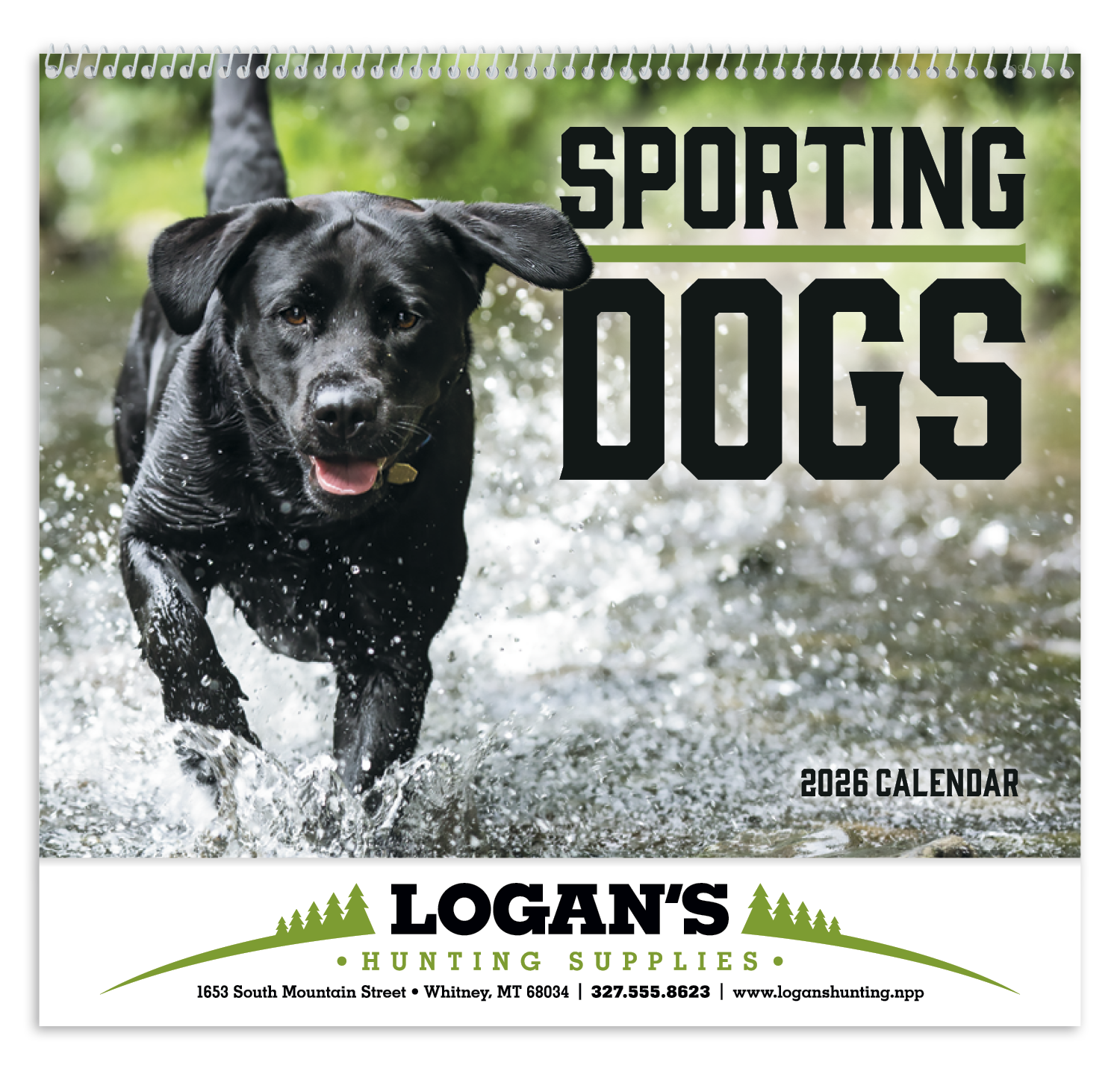 Good Value™ Sporting Dogs - Spiral Calendar 34