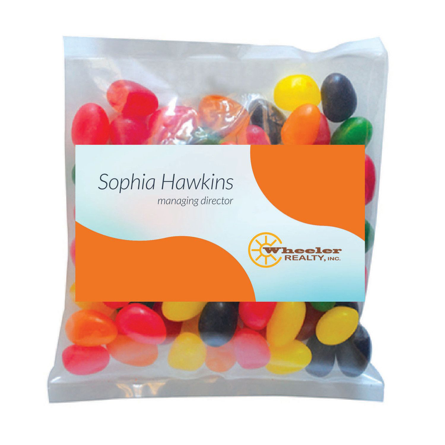 Small Snack Bag with Rectangle Magnet Standard Fill 12