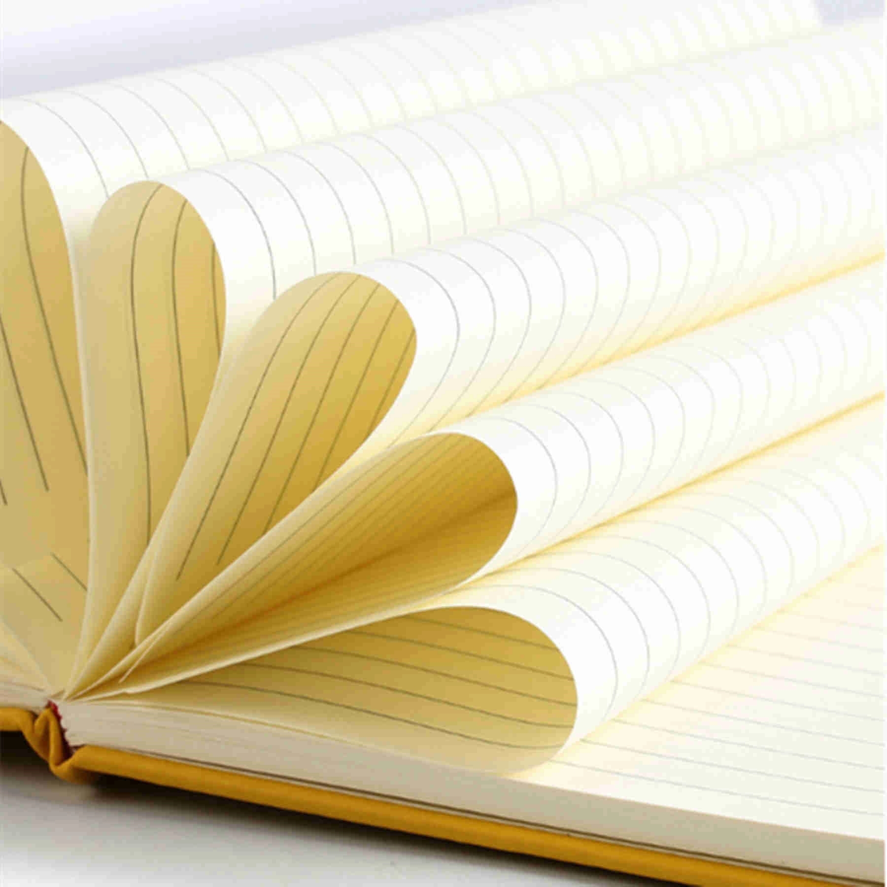 A5 PU Leather Journal Notebook MOQ50 7