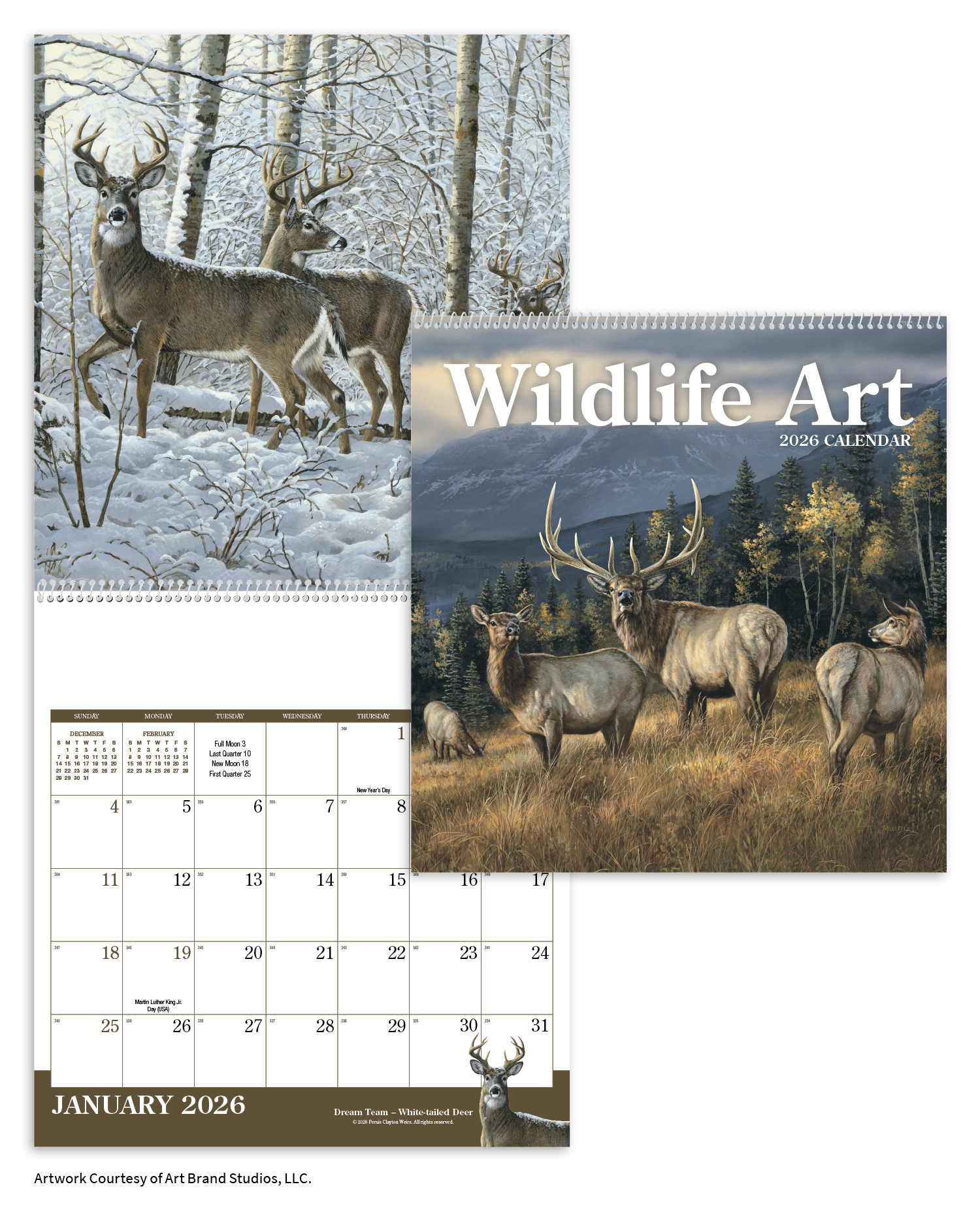 Triumph® Calendars Wildlife Art Calendar 22