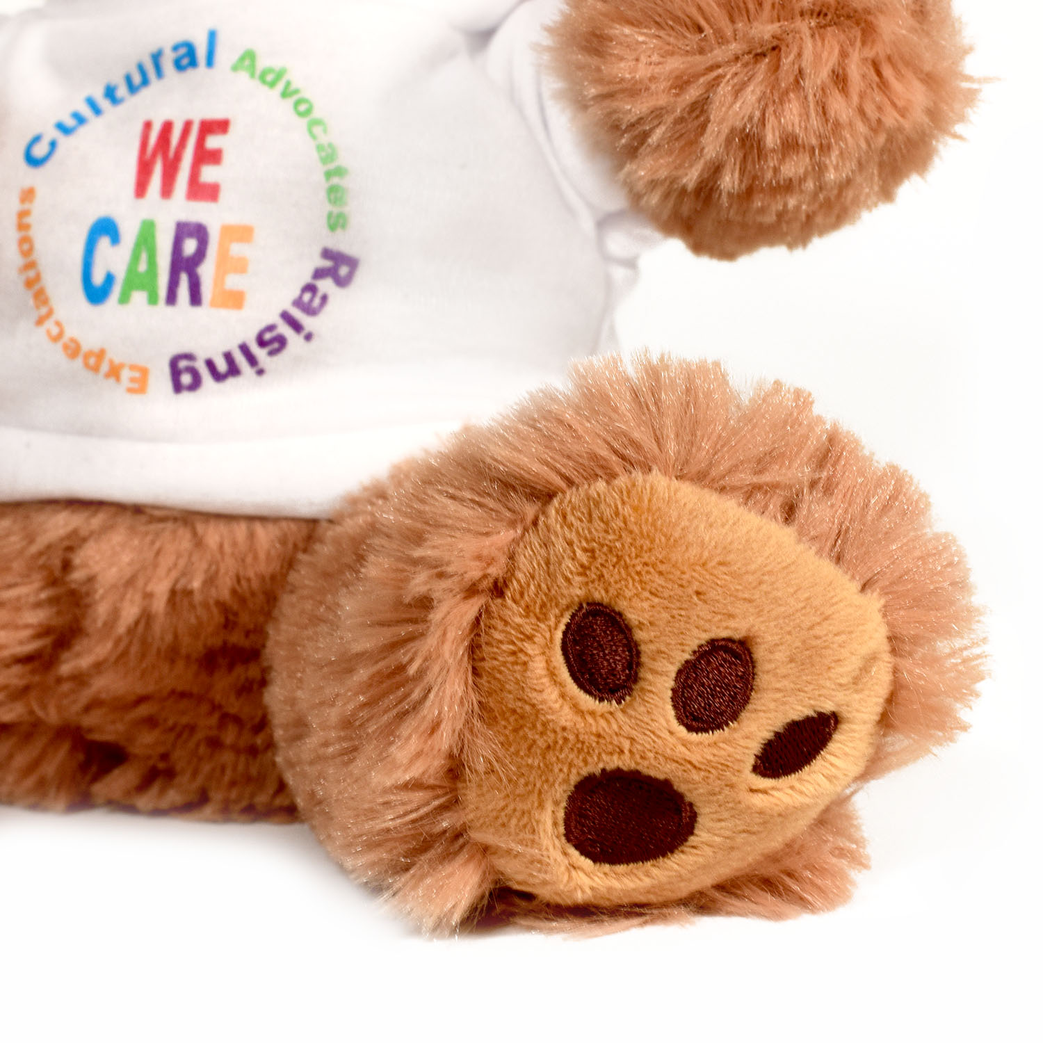 Plush Bear w/ Embroidered Paws and T-Shirt 19