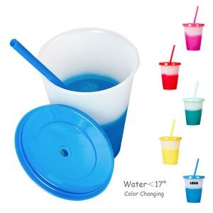 Handy 16oz Plastic Color Changing Cup With Straw 7