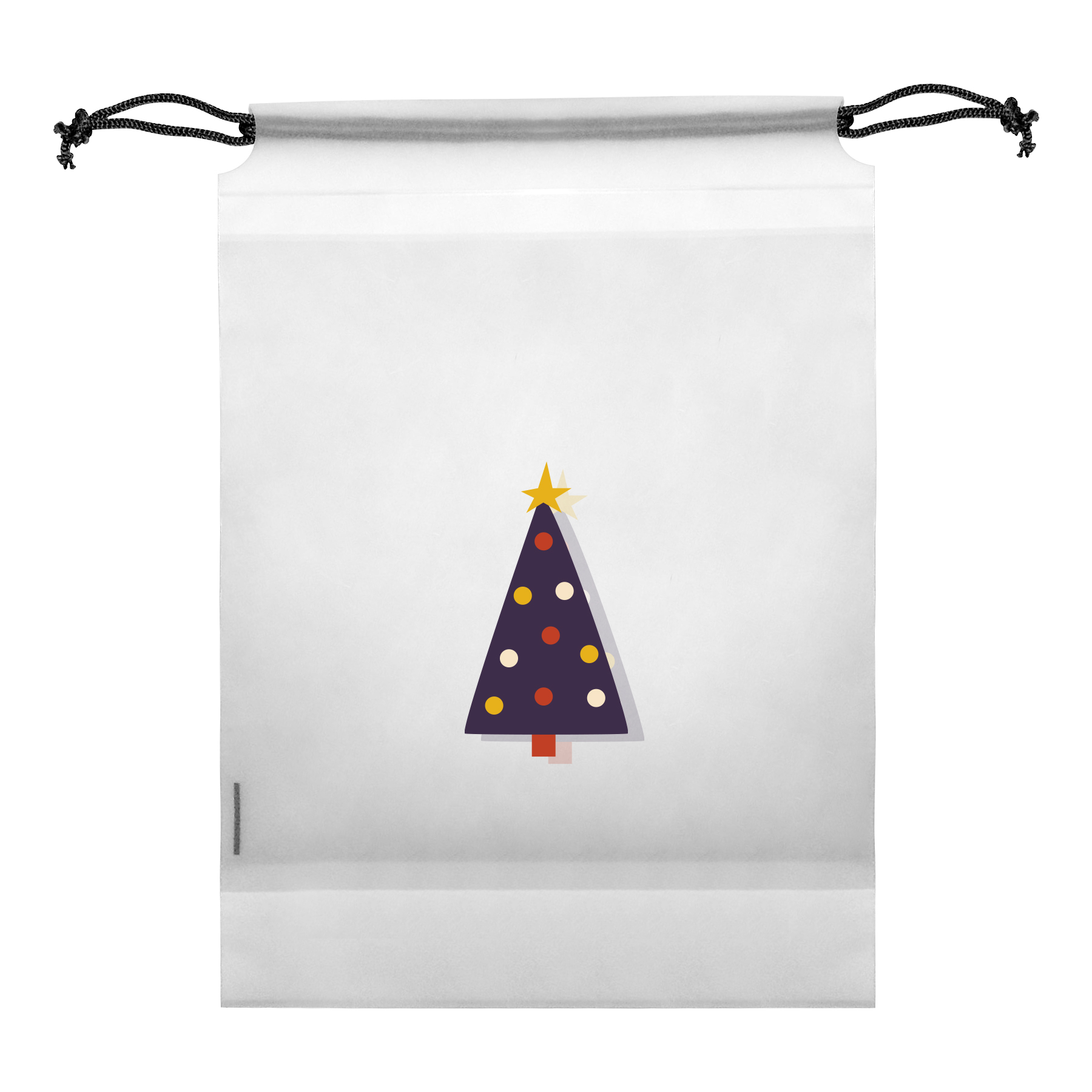 Clear PE Shoe Bags for Travel 6